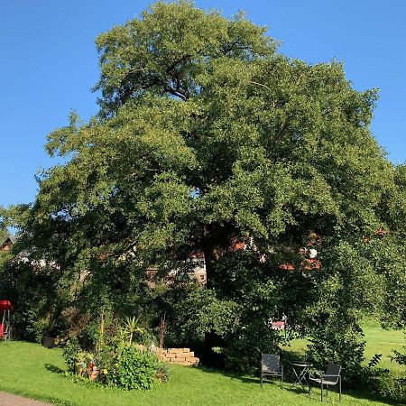 Ferienwohnung Am Rennsteig Bei Eisenach - Ilona Schmidt Wolfsburg-Unkeroda Bagian luar foto