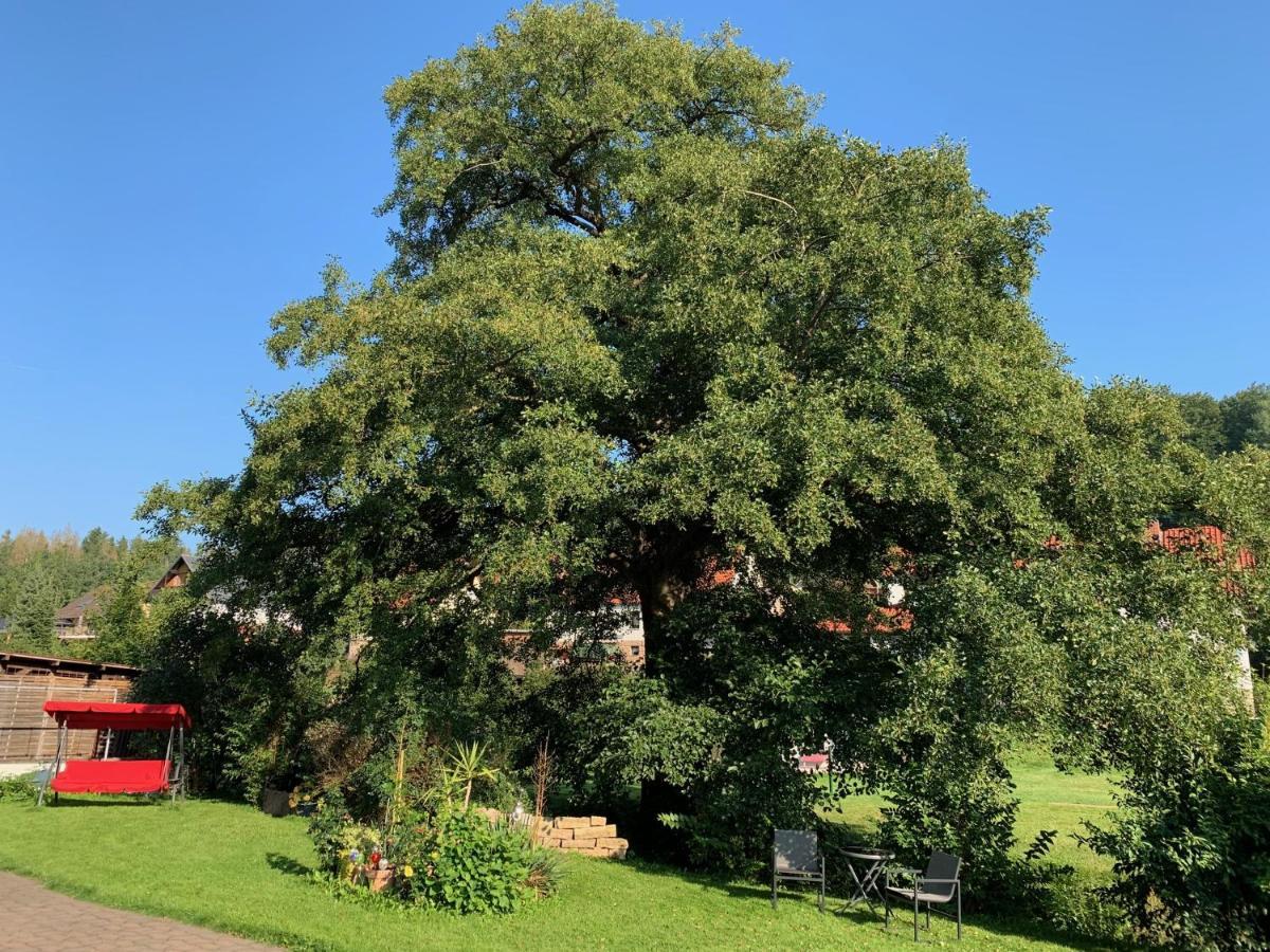 Ferienwohnung Am Rennsteig Bei Eisenach - Ilona Schmidt Wolfsburg-Unkeroda Bagian luar foto